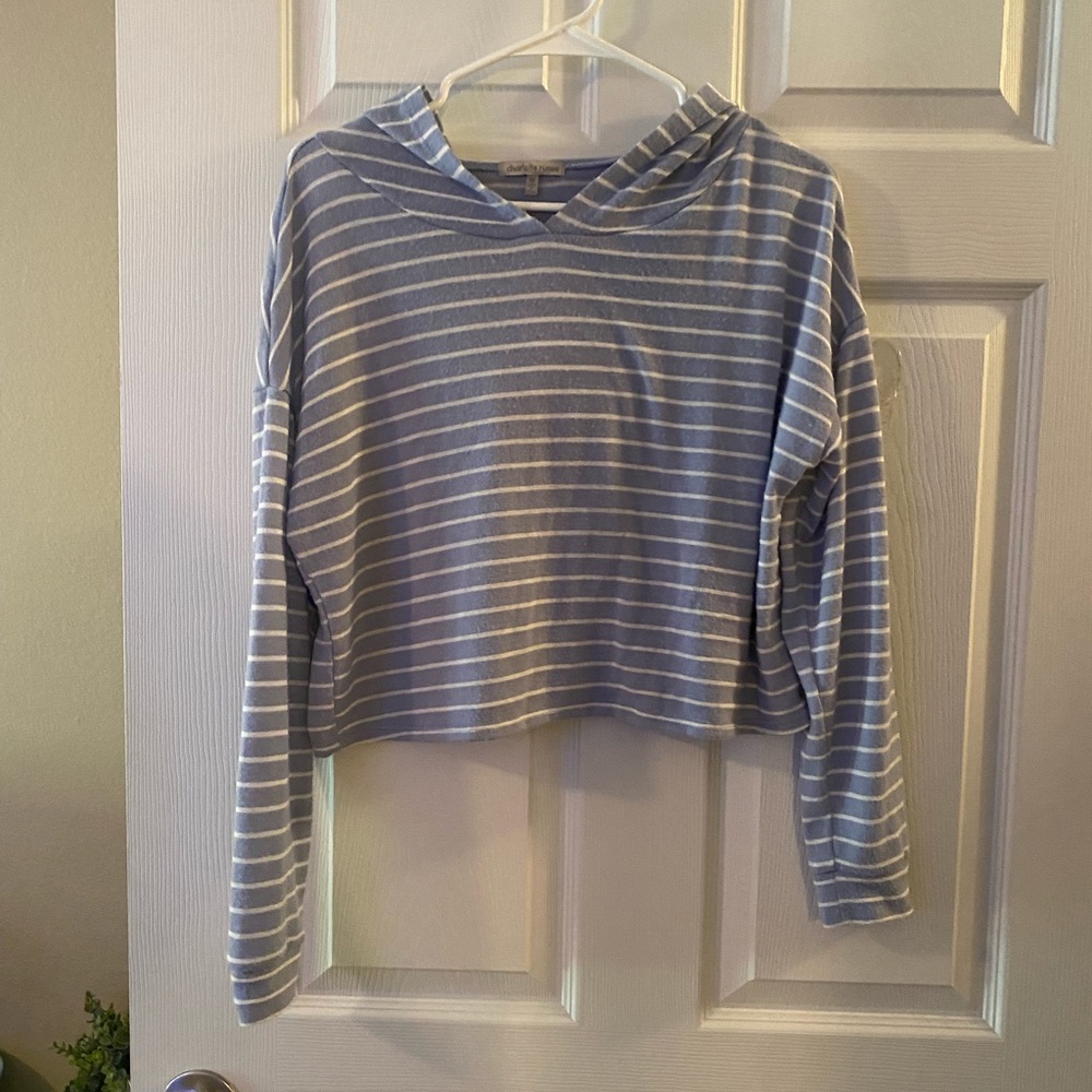 Charlotte Russe Purple & White Striped Cropped Hoodie